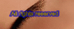 Hosted















 by Corbina







































    telecom